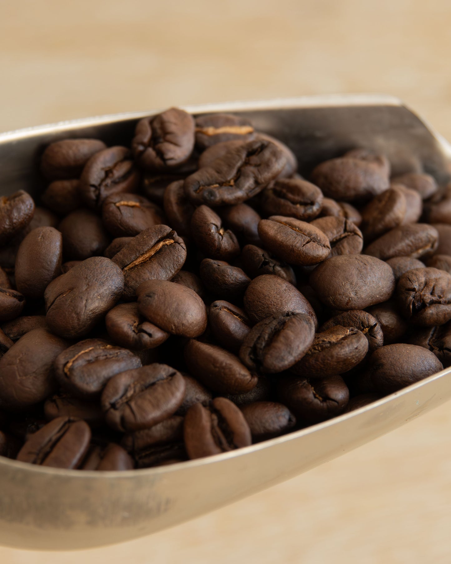 Chicama Longline Classic Espresso