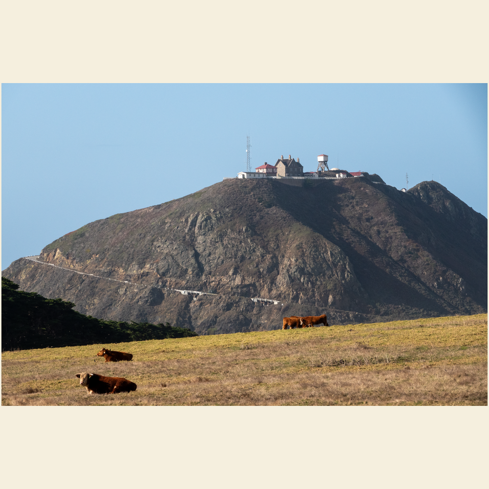 Point Sur Giclee Art Prints