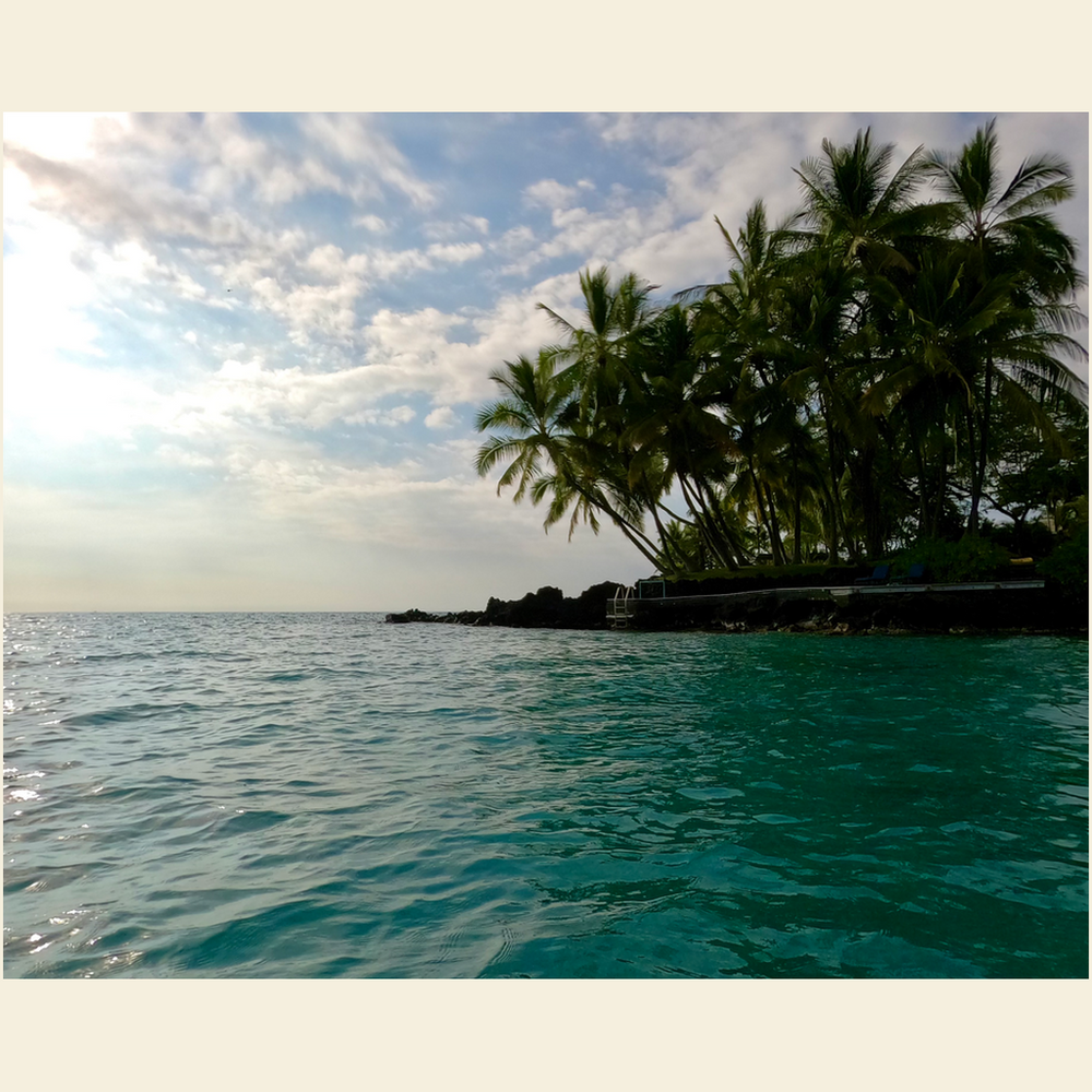 Palm Point Giclee Art Prints