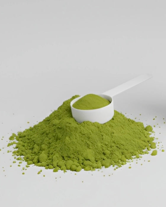 Matcha Man’s Ceremonial Matcha