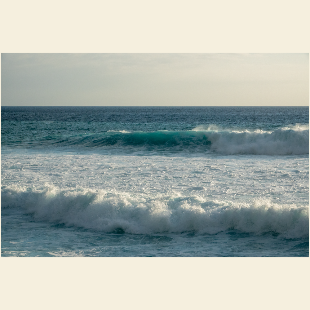 Blue Runner Giclee Art Prints