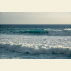 Blue Runner Giclee Art Prints