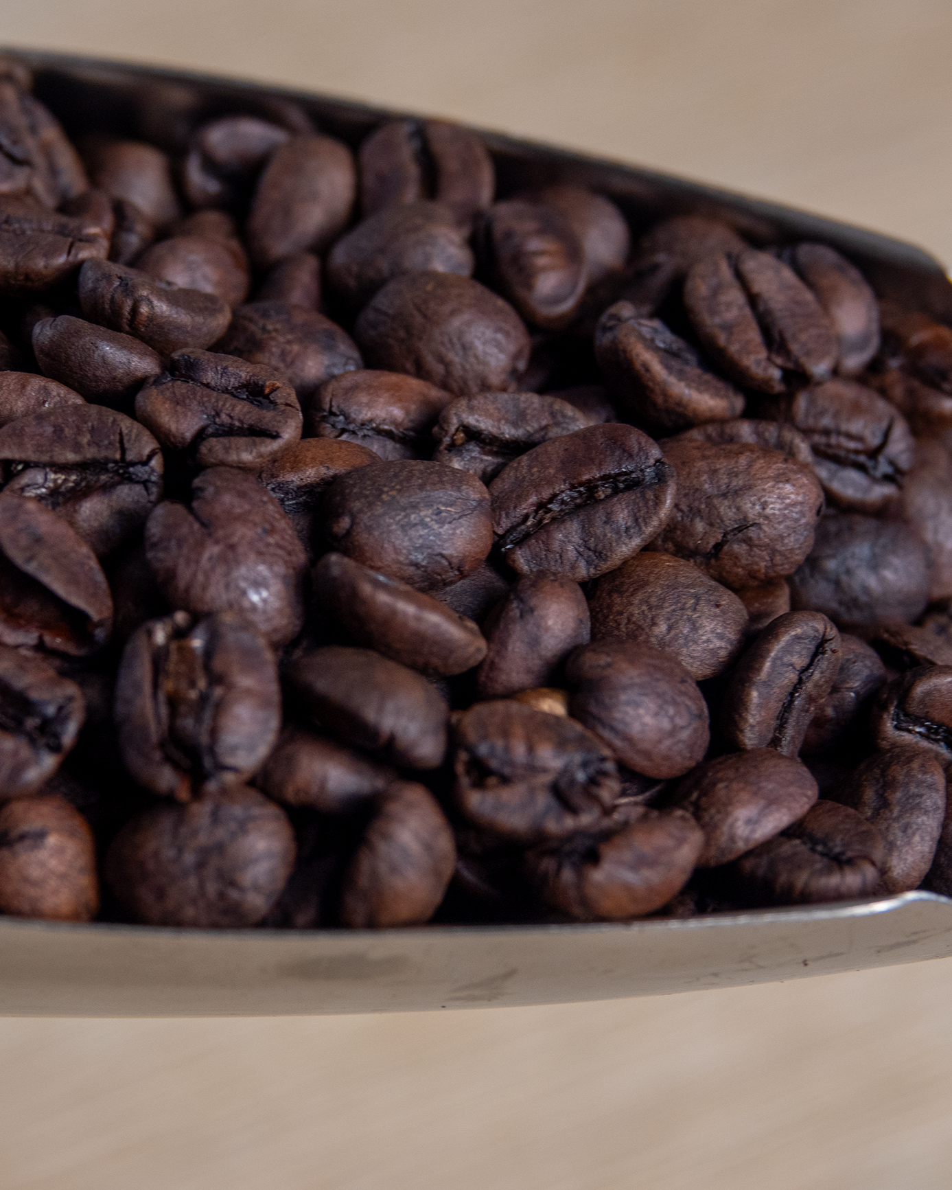 Bom Paredón Decaf Espresso
