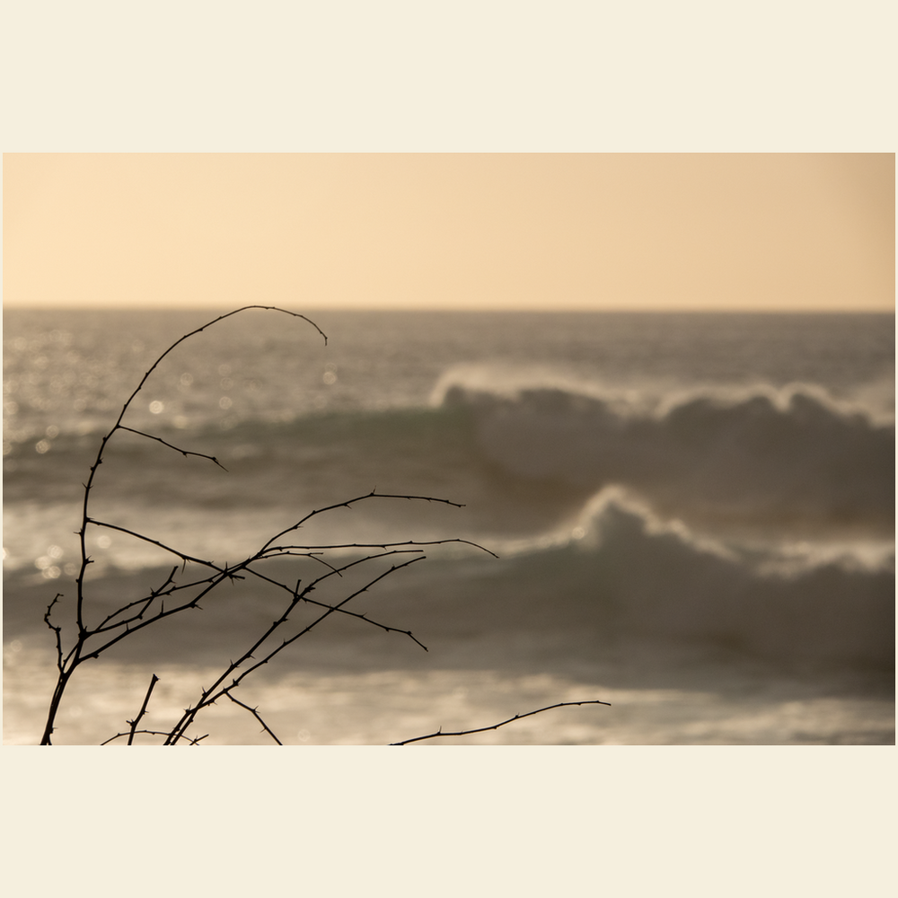 Kiawe Point Giclee Art Prints