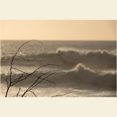 Kiawe Point Giclee Art Prints