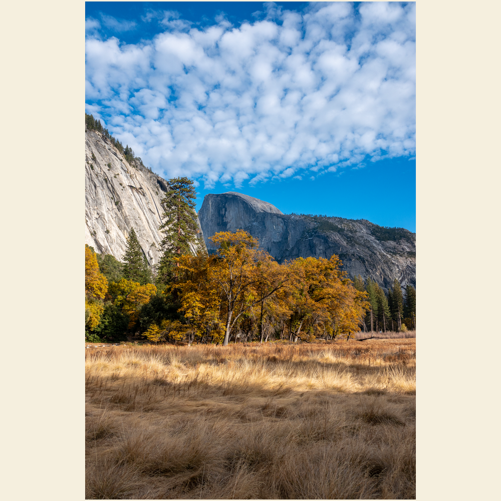 Half Dome Giclee Art Prints