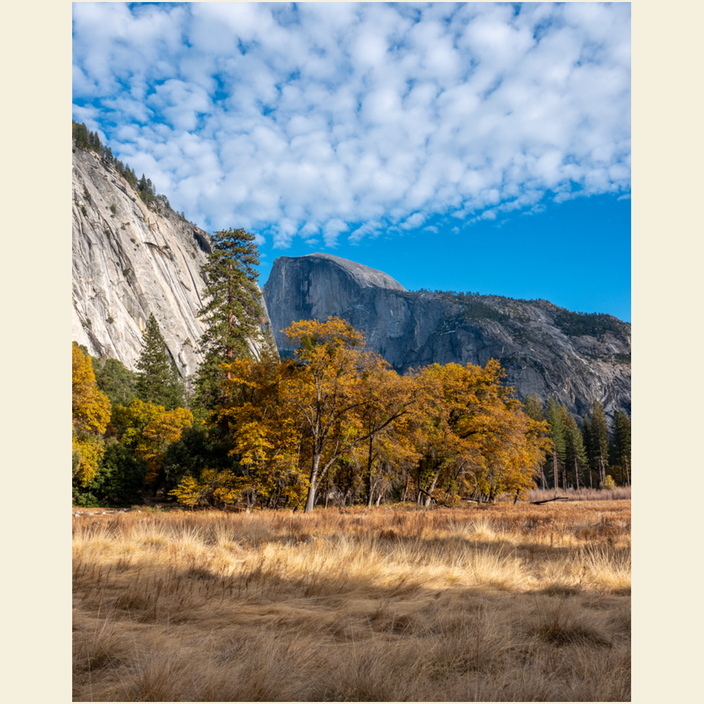 GicleeArtPrints-8x10-SmoothArtPaper-20250303154352138
