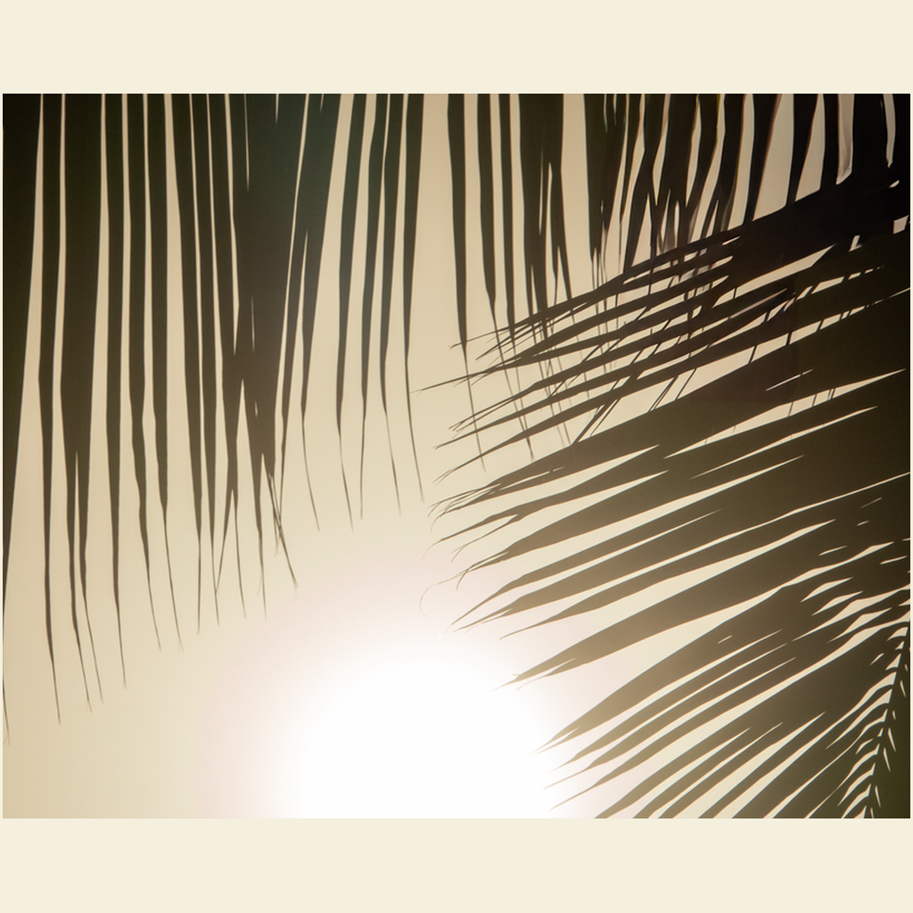 GicleeArtPrints-8x10-SmoothArtPaper-20250303153053964